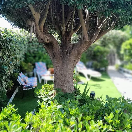 Homeholidaysrentals Ancora - Costa Barcelona Сан-Поль-де-Мар